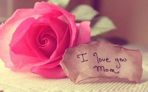 早上吸引朋友圈的句子(精选67句)