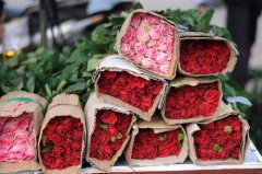 警告别得寸进尺的句子(精选38句)