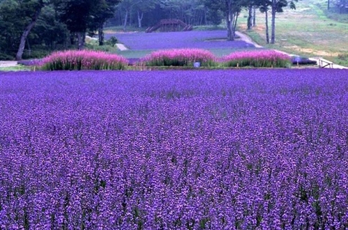 鼓励别人加油的暖心话(55句)