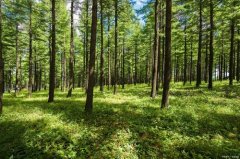 一个人无聊时发的动态(54句)