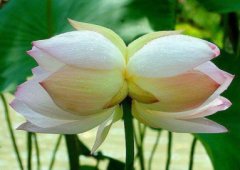 让自己暂时消失的句子(48句)