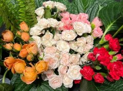 女人养花的心情语录(精选48句)