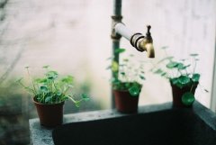 人都躲不过命运的安排句子(精选42句)