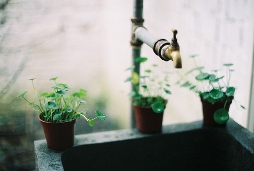 人都躲不过命运的安排句子(精选42句)