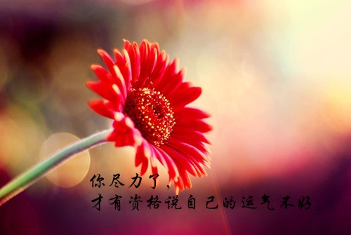 人这一生的感慨句子(精选29句)