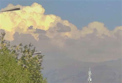 夏日炎炎的唯美句子(精选55句)