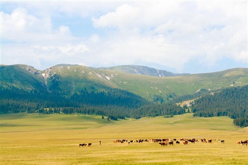 任何关系都是相互的句子(精选53句)