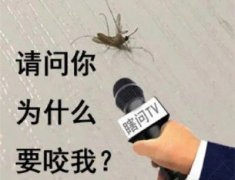 被蚊子咬怎么幽默的发朋友圈(42句)