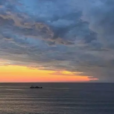 一眼难忘的微信头像(精选12张)