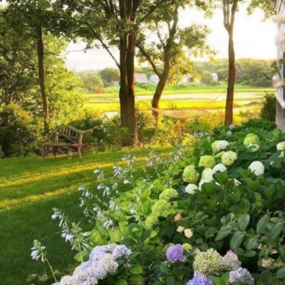 一眼难忘的微信头像(精选12张)