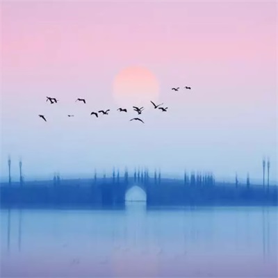 好看到不想换的头像(精选12张)