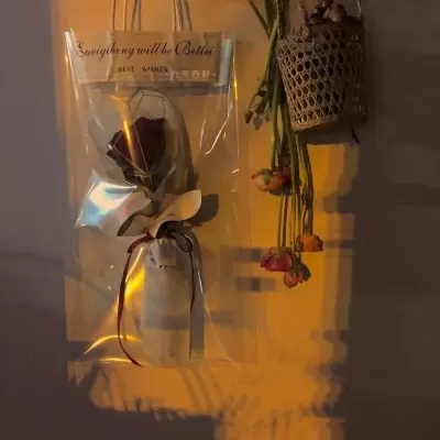 30一40岁女人微信头像风景图片(精选14张)