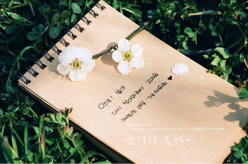 职场上有深度的人生哲理短句(67句)