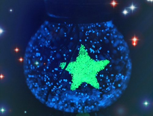 关于夜景文案伤感短句子(56句)