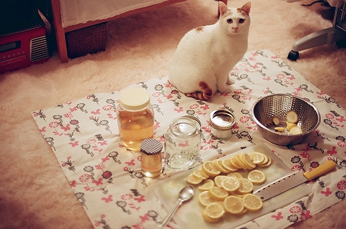 朋友圈句子配自拍(精选50句)