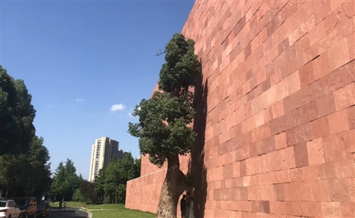 背影赏析句子文案图片朋友圈(精选43句) 背影赏析句子文案图片朋友圈(精选43句)