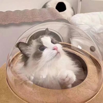 不仔细看看不出来的情侣头像