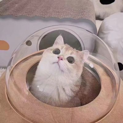 不仔细看看不出来的情侣头像