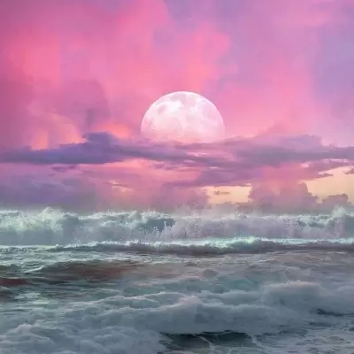 60岁老人微信头像大全(精选12张)