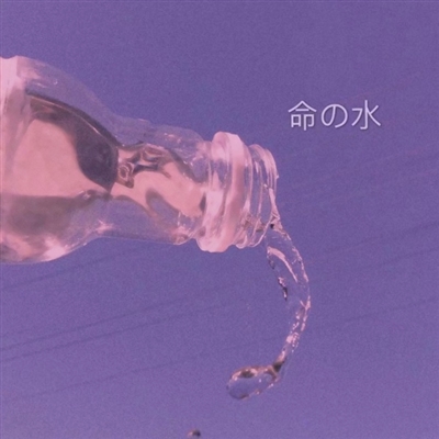 属猴风水上最好的微信头像(精选10张)