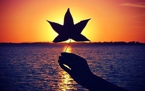 八月励志的句子致自己简短(47句)