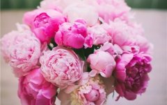 告别七月迎接八月的说说心情短语(50句)