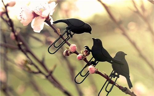 祝领导八一建军节的祝福语(43句)