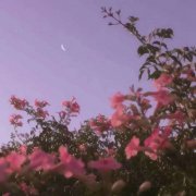 土命人最适合的头像(精选10张)