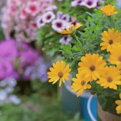 有靠山有贵人相助的微信头像(精选10张)