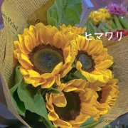 30一40岁女人微信头像风景图片(精选10张)