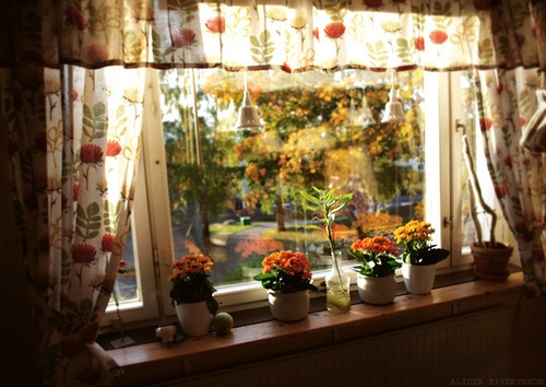 痛经怎么发高端的朋友圈(52句)