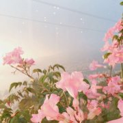 有助于事业成功的微信头像(精选12张)