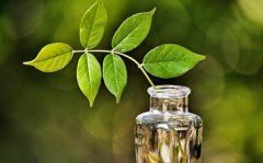 提醒别人管好自己的嘴的句子(30句)