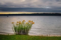 女人没有依靠的心酸句子(54句)