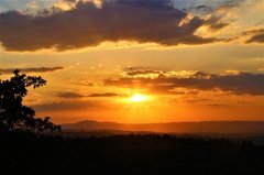 全靠死撑的心酸句子(33句)