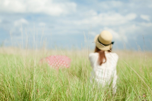 昙花一现的唯美句子(精选37句)