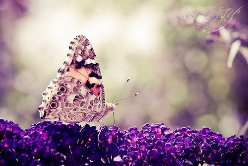 格局决定人生高度的金句(33句)