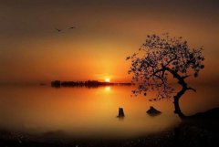 哄女孩子开心的话短句(精选49句)