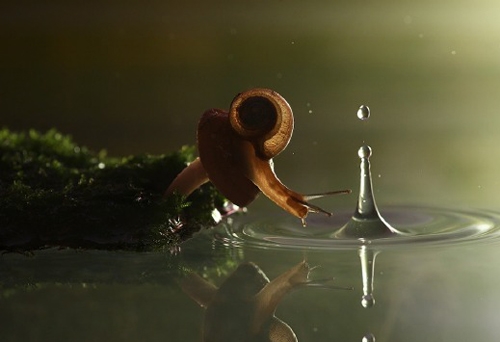 暗示别人管好自己的嘴的说说(32句)