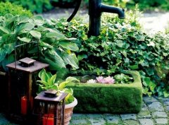 付出得到认可的句子(67句)