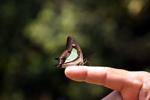心情郁闷的短句说说(49句)