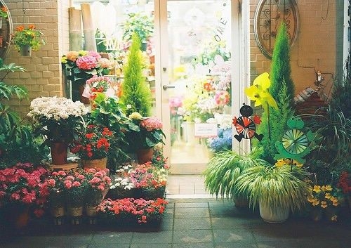 工作中不断成长的句子(40句)