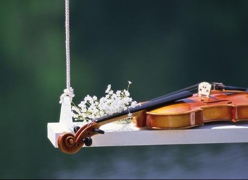 家长对老师辛苦付出的感谢话(30句)