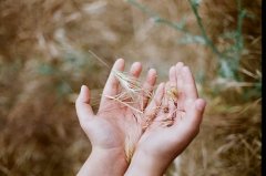 祝福孩子成长的话(41句)