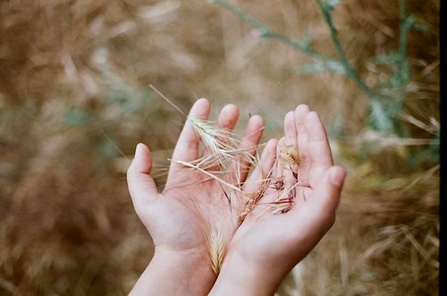 祝福孩子成长的话(41句) 祝福孩子成长的话(41句)