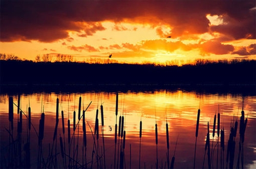 加班使我快乐搞笑句子(精选45句)