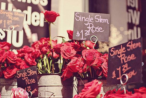 形容说错话后悔的句子(精选31句)