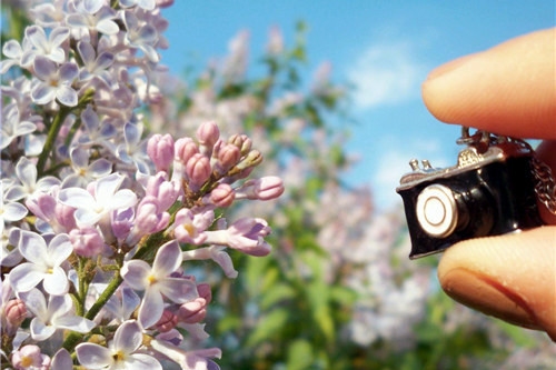 30句感谢老师的话(精选45句)