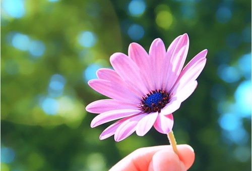 生日发朋友圈感谢的话(41句)