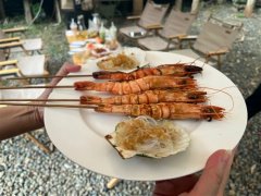 感受大自然野餐的句子(精选38句)